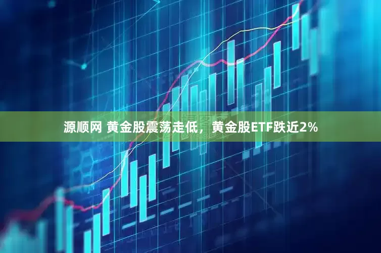 源顺网 黄金股震荡走低，黄金股ETF跌近2%
