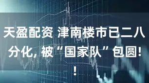 天盈配资 津南楼市已二八分化, 被“国家队”包圆!