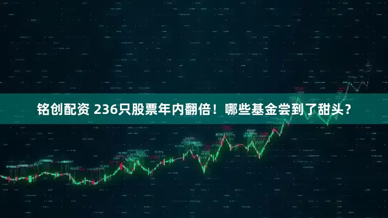 铭创配资 236只股票年内翻倍！哪些基金尝到了甜头？